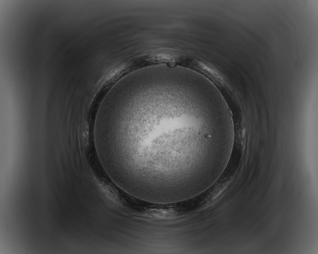 X0000085740552200703231112