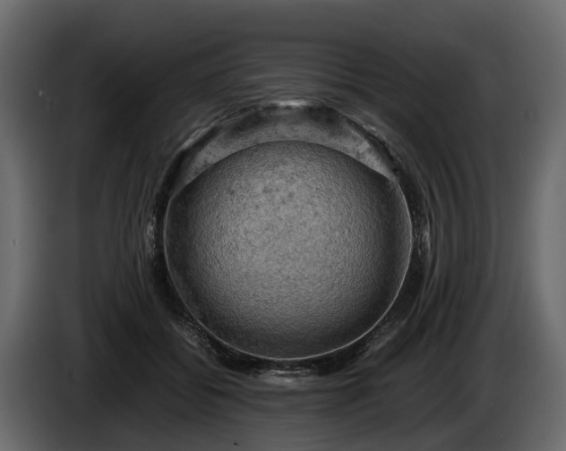 X0000085740556200703231112