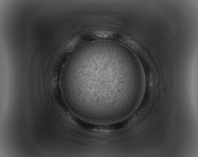 X0000085740559200703231112