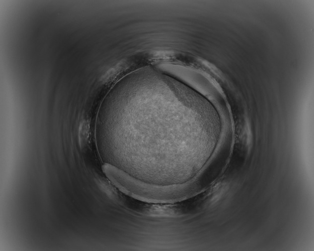 X0000085740560200703231112