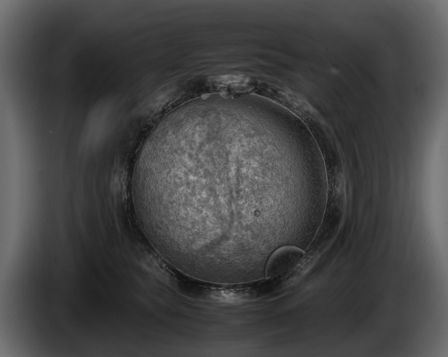 X0000085740565200703231112