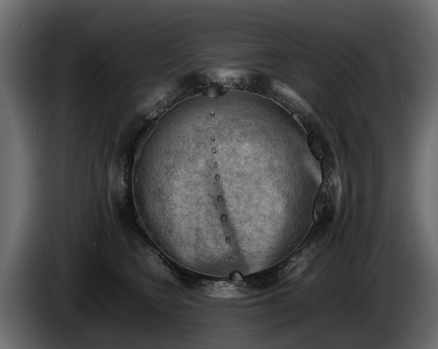 X0000085740566200703231112