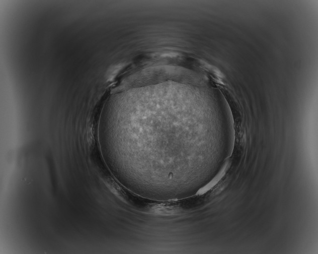 X0000085740568200703231112