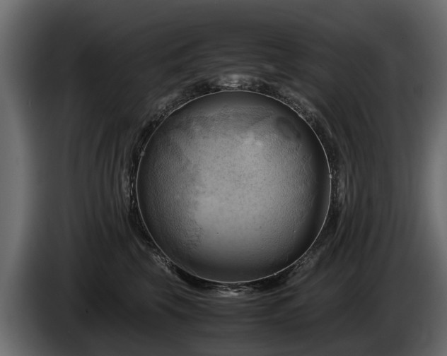 X0000085740569200703231112