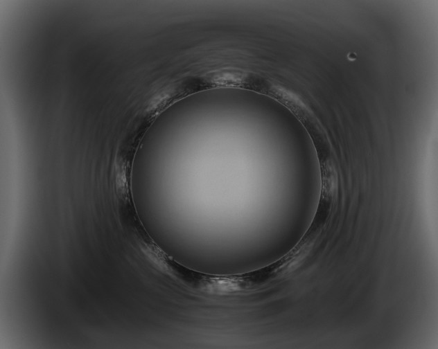 X0000085740573200703231113