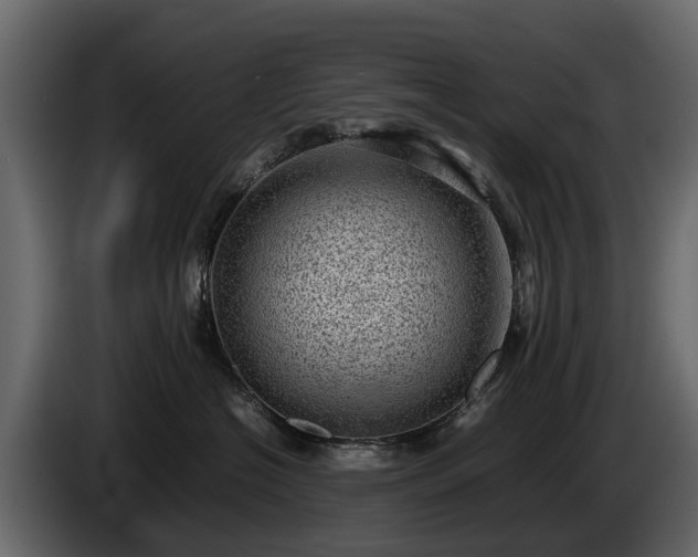 X0000085740574200703231113