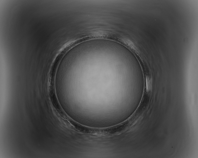 X0000085740579200703231112