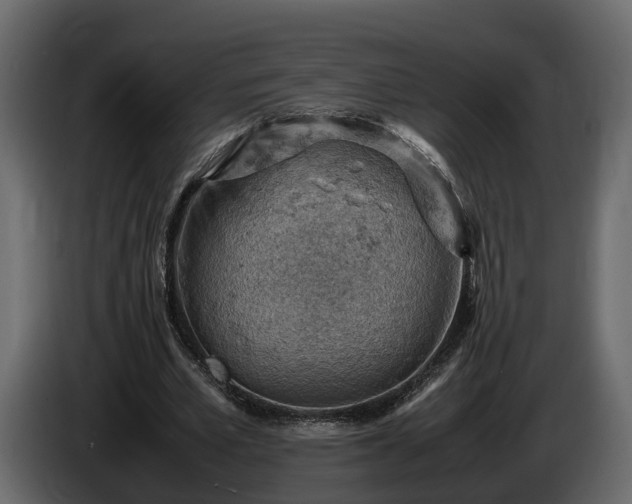 X0000085740581200703231112