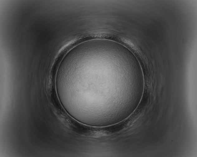 X0000085740583200703231112