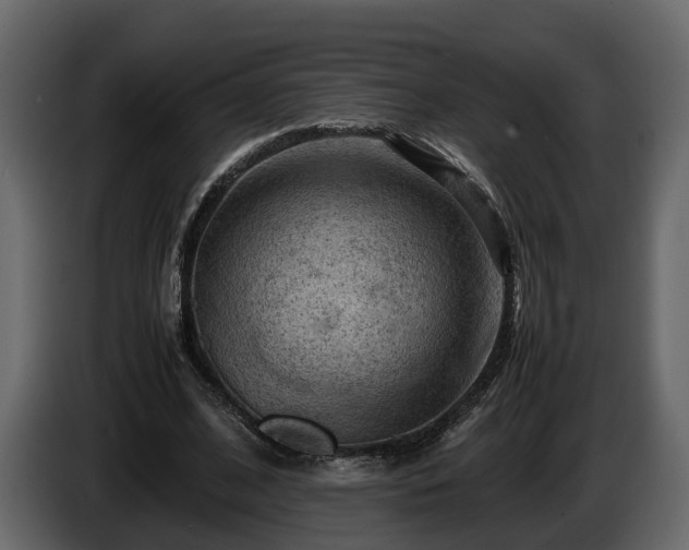 X0000085740584200703231112