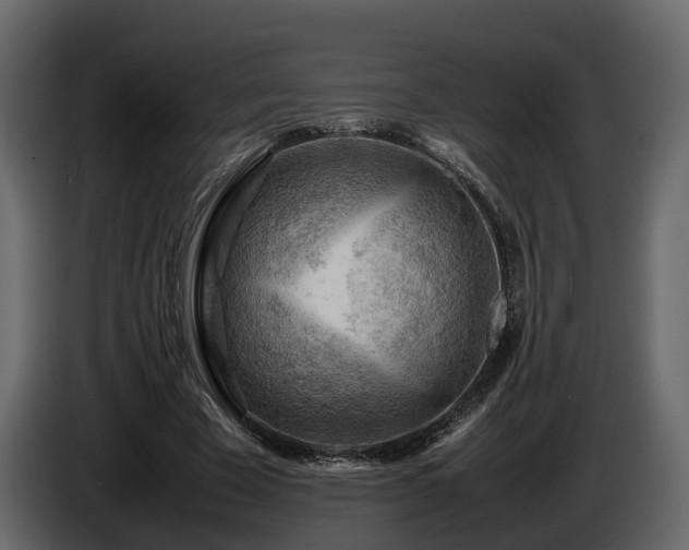 X0000085740585200703231112