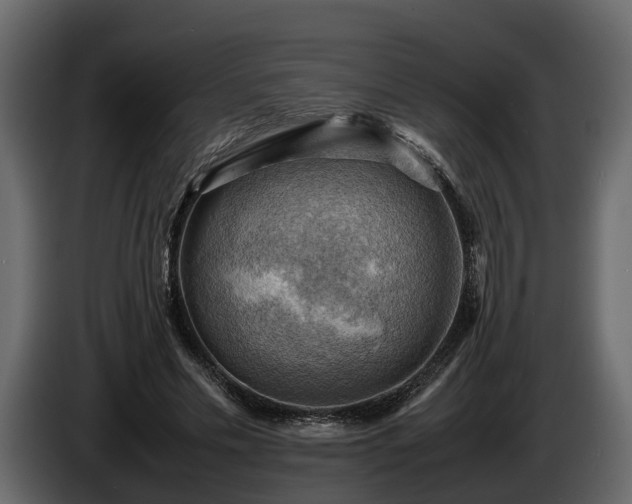 X0000085740589200703231112