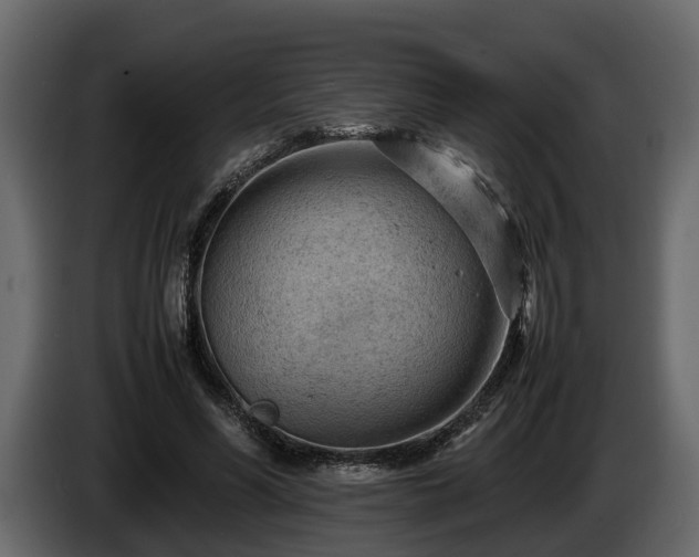X0000085740590200703231112
