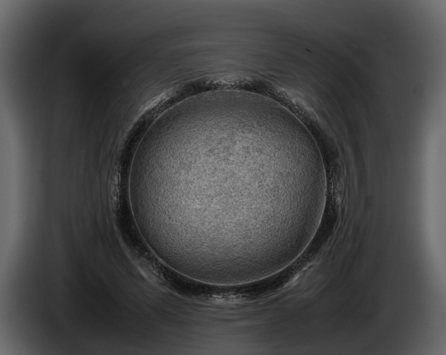 X0000085740591200703231112