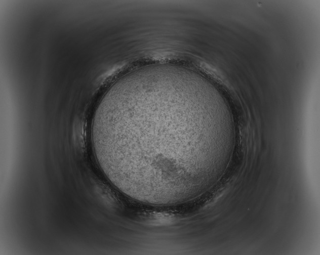 X0000085740592200703231112