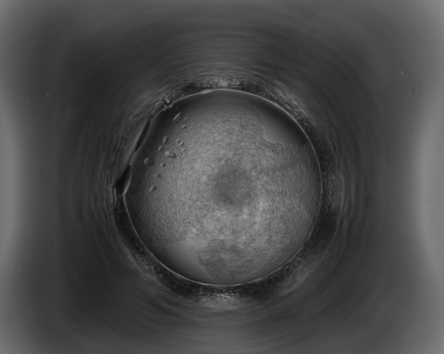 X0000085740594200703231112