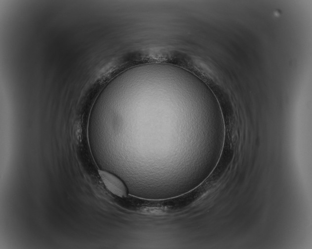 X0000085740595200703231112