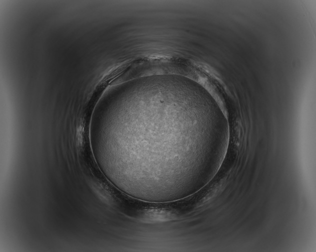 X0000085740596200703231112