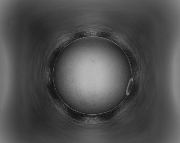 X0000085740599200703231112