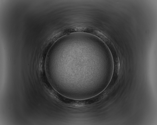 X0000085740604200703231112