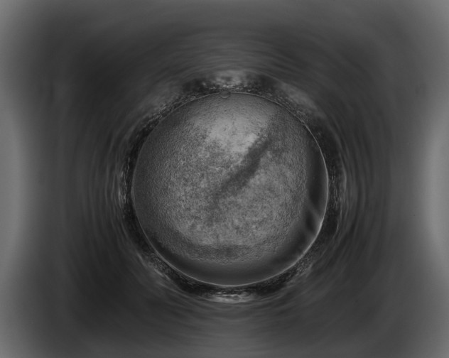 X0000085740606200703231111