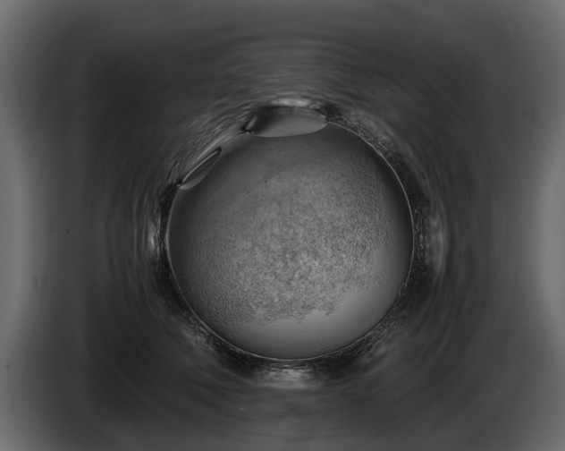 X0000085740610200703231111