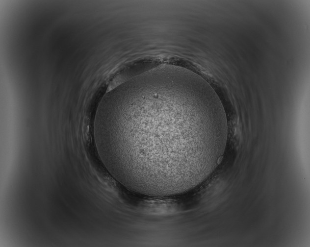 X0000085740615200703231111