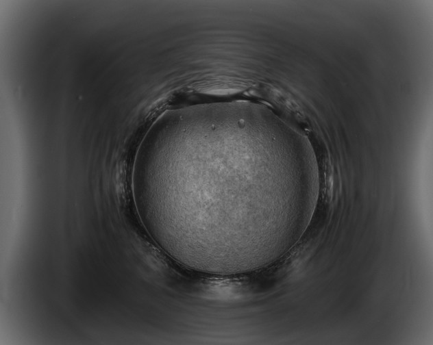 X0000085740616200703231111