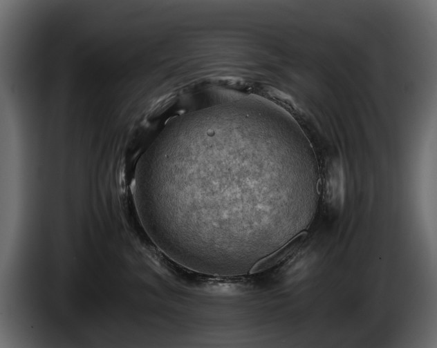 X0000085740620200703231111