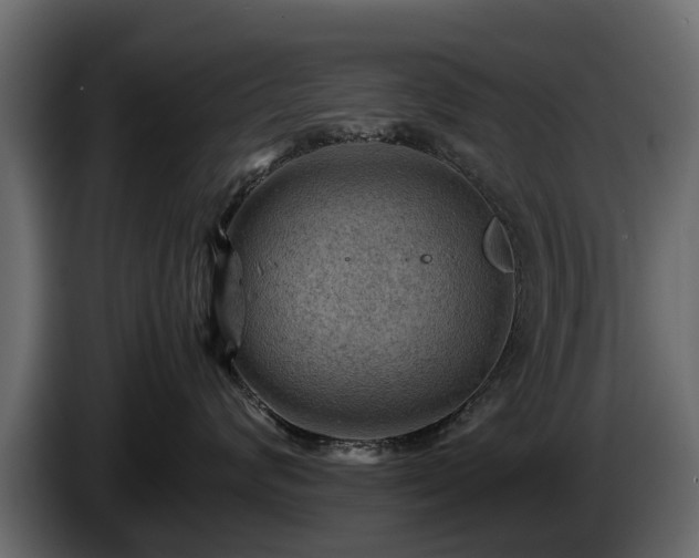 X0000085740624200703231111