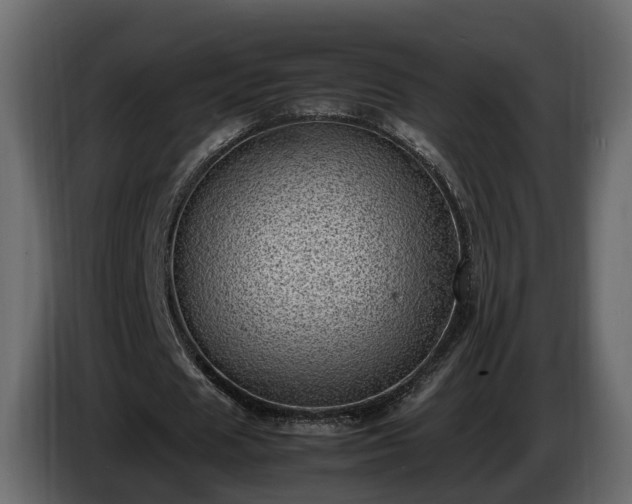 X0000085740625200703231111