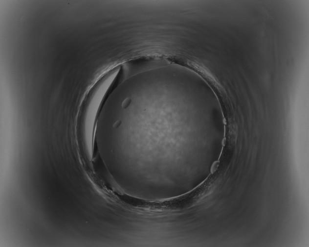 X0000085740626200703231111