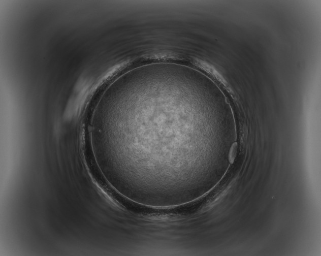 X0000085740629200703231111