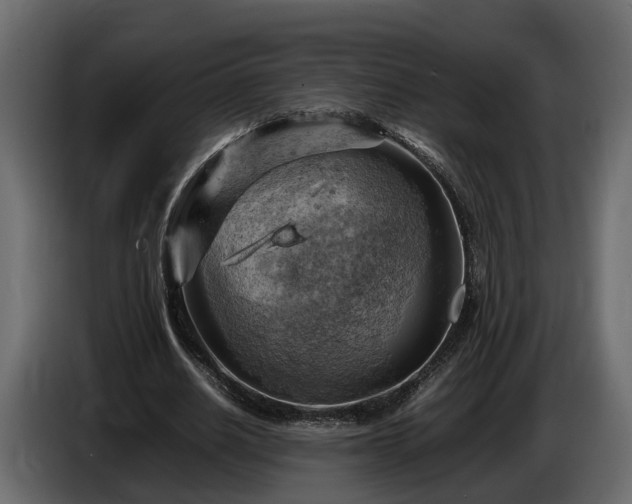 X0000085740630200703231111