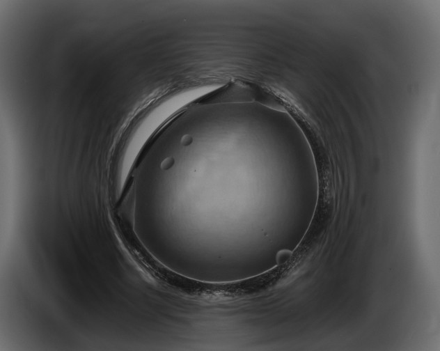 X0000085740634200703231111