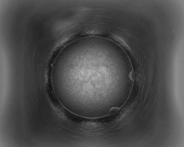 X0000085740635200703231111