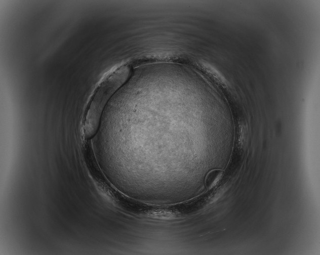 X0000085740636200703231111