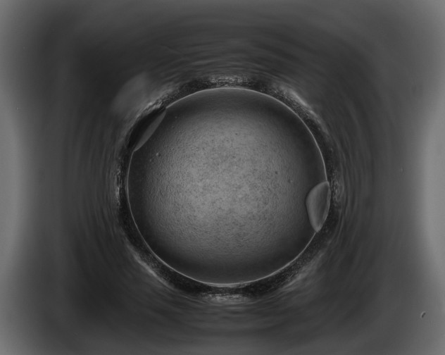 X0000085740637200703231111