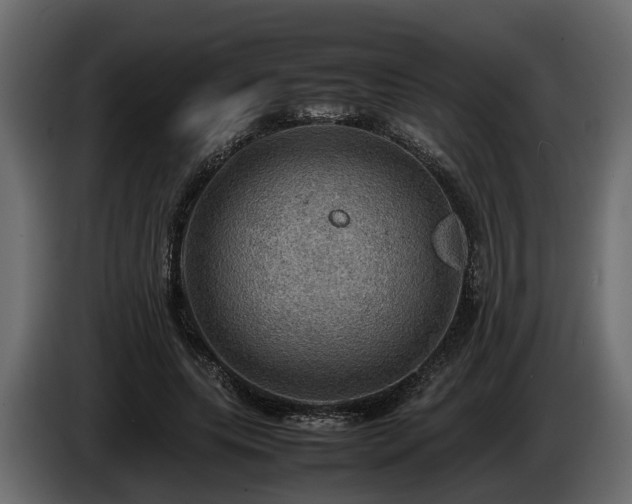 X0000085740639200703231111
