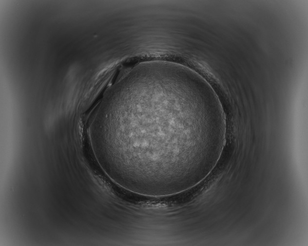 X0000085740640200703231111