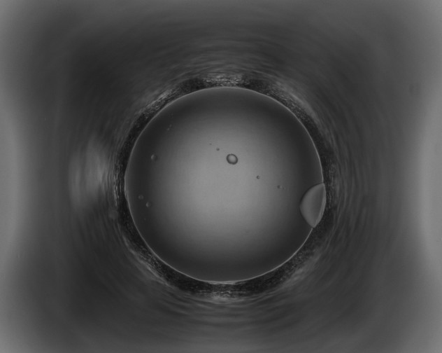 X0000085740641200703231111