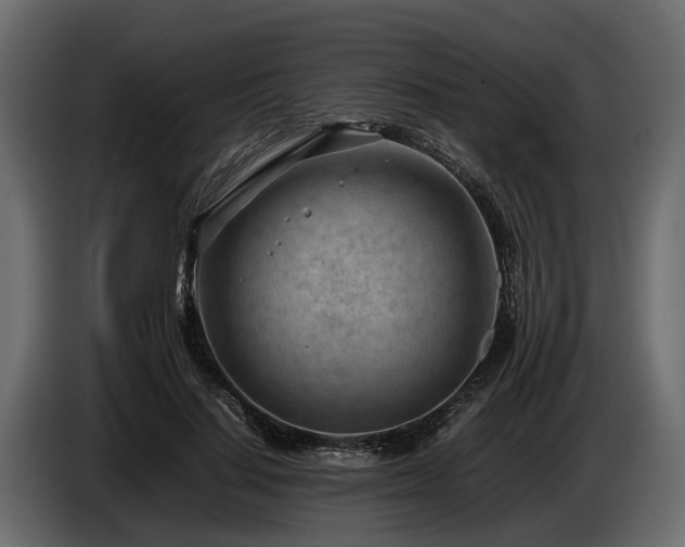 X0000085740644200703231111