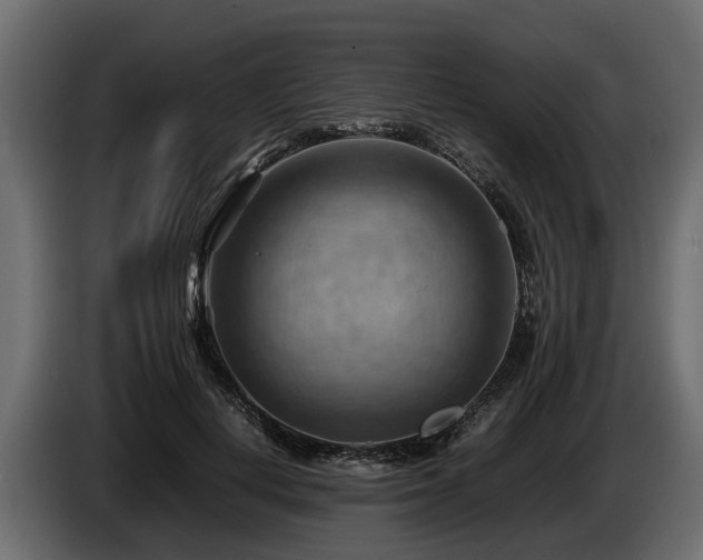 X0000085740648200703231111