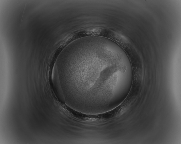 X0000085740649200703231111