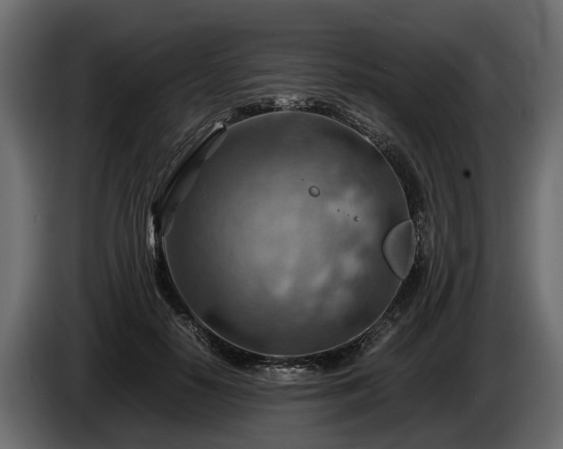 X0000085740650200703231111