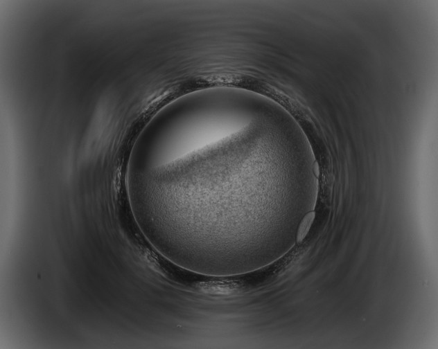 X0000085740652200703231111