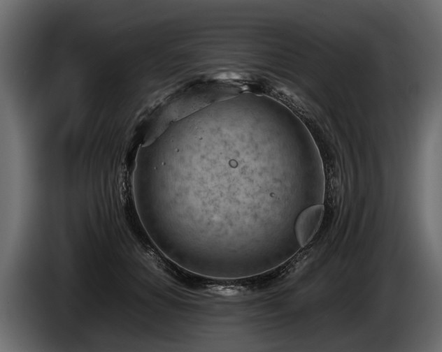 X0000085740654200703231111