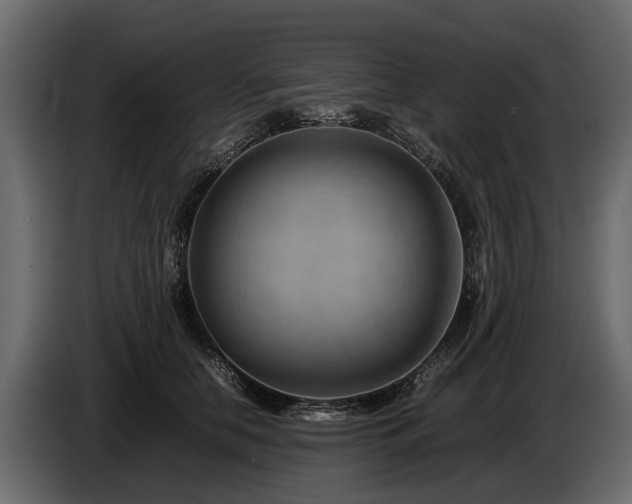 X0000085740658200703231111