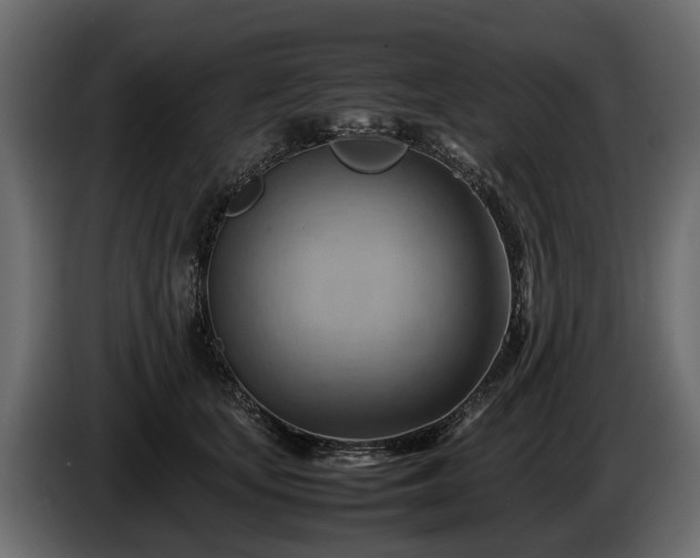 X0000085740659200703231111