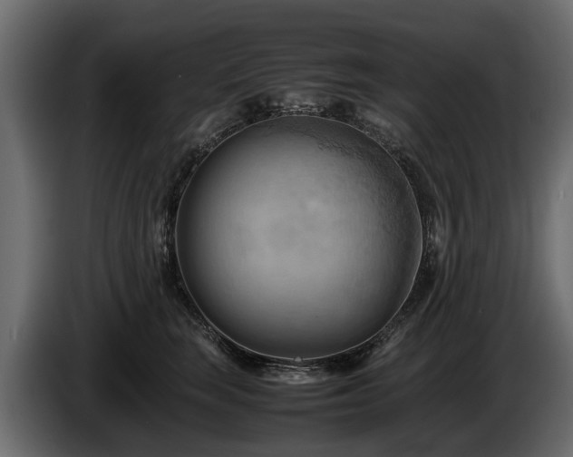 X0000085740663200703231111